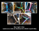 National Park Collection