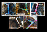 National Park Collection