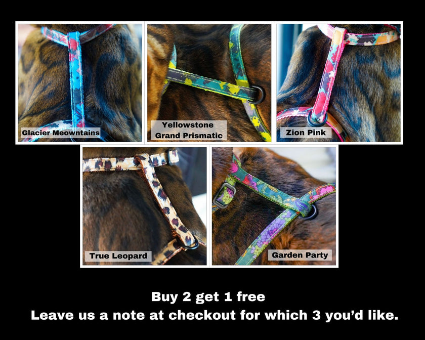 National Park Collection