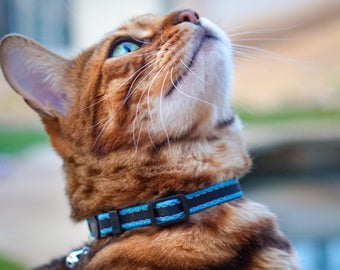 Breakaway Collar